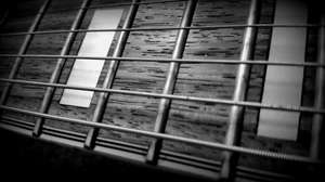 Guitar strings - Photo by Francesco Iannuzzelli