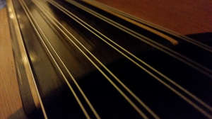 Ouds strings - Photo by Francesco Iannuzzelli